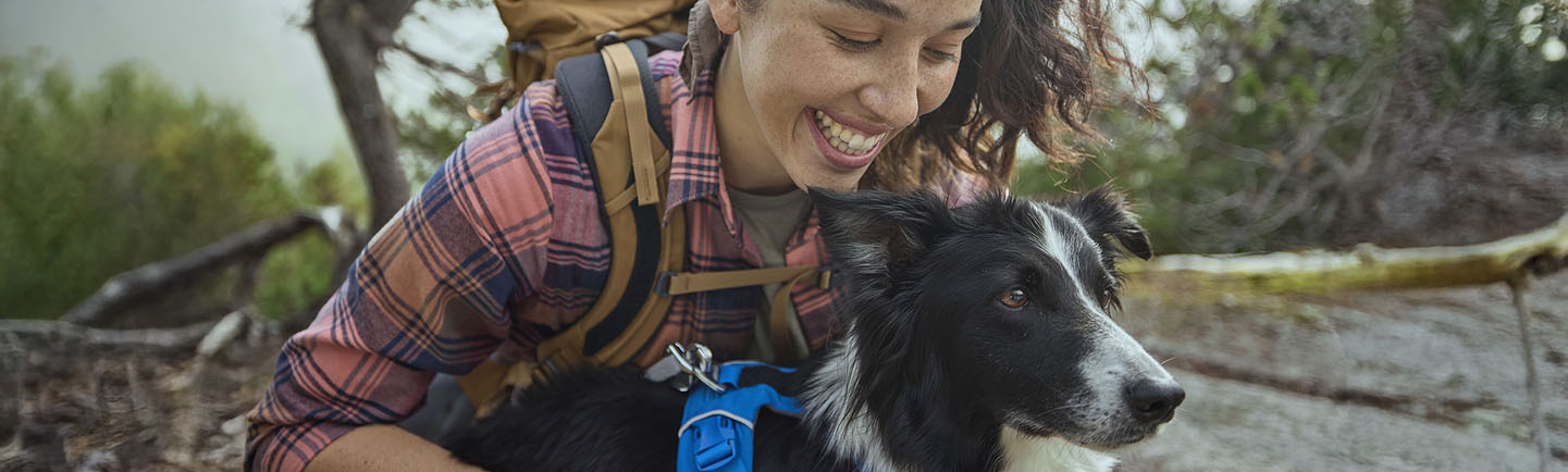 NexGard - Productos para el perro