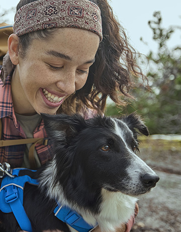 NexGard - Productos para el perro